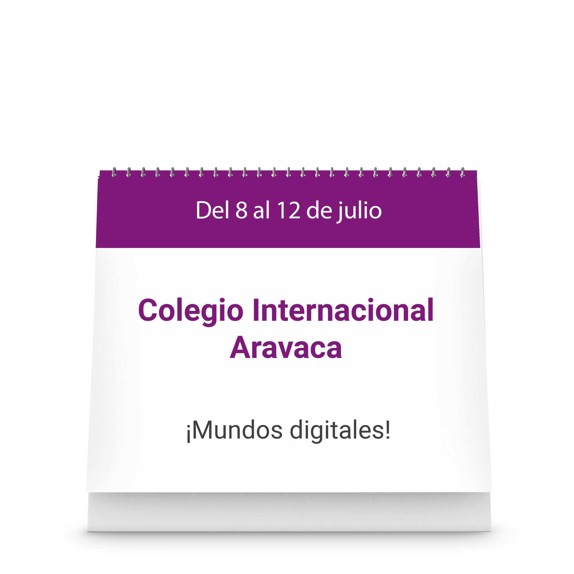 Colegio Internacional Aravaca - ¡Mundos digitales!